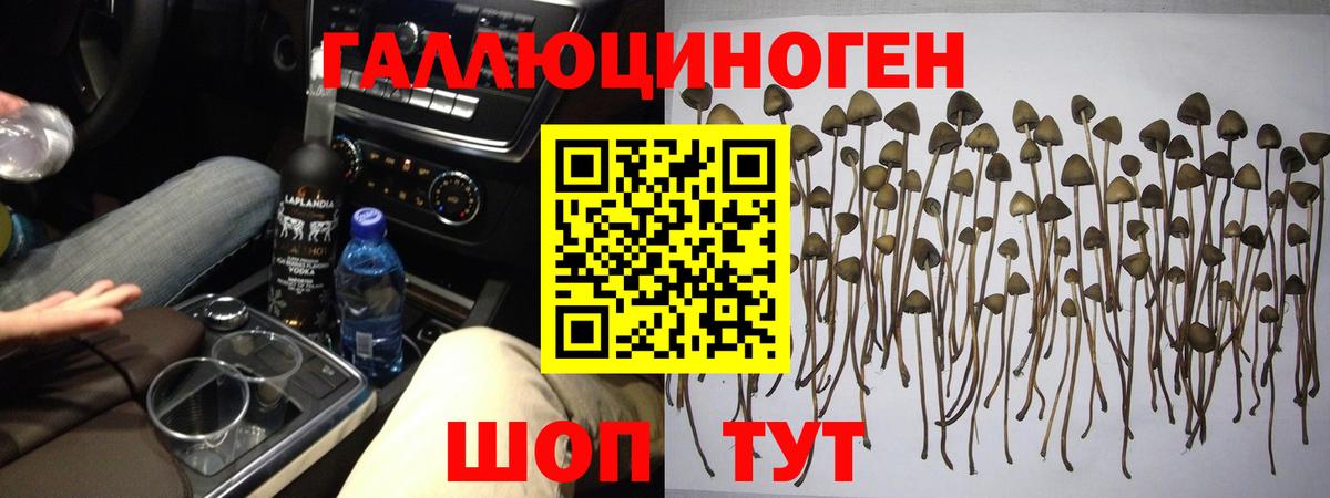 Псилоцибиновые грибы мицелий  Вход с VPN  Котлас 